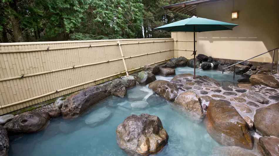Ryotei Ryokan Takechiyo Kirishima Bettei