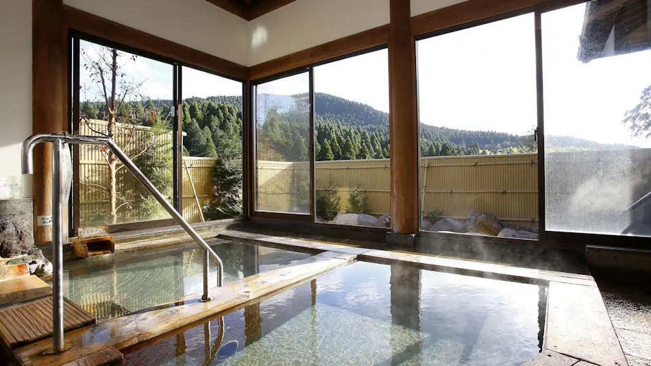 Ryotei Ryokan Takechiyo Kirishima Bettei