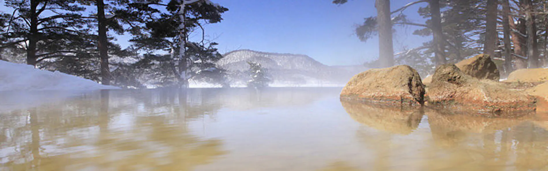 裏磐梯レイクリゾート 本館・五色の森