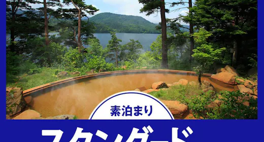 【スタンダード/素泊まり】周辺観光を堪能!源泉掛け流し「美肌の湯」で極上の贅沢を!