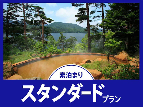 【スタンダード/素泊まり】周辺観光を堪能!源泉掛け流し「美肌の湯」で極上の贅沢を!