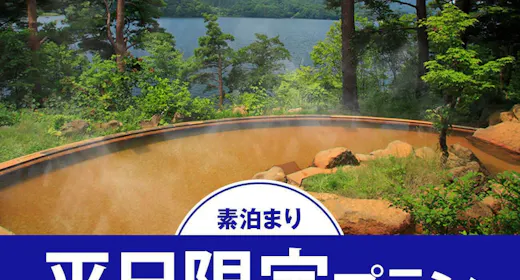 【平日限定/素泊まり】7,300円~!周辺観光を堪能!源泉掛け流し「美肌の湯」で極上の贅沢を!