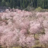 春のアクティビティ例/教えて!裏磐梯