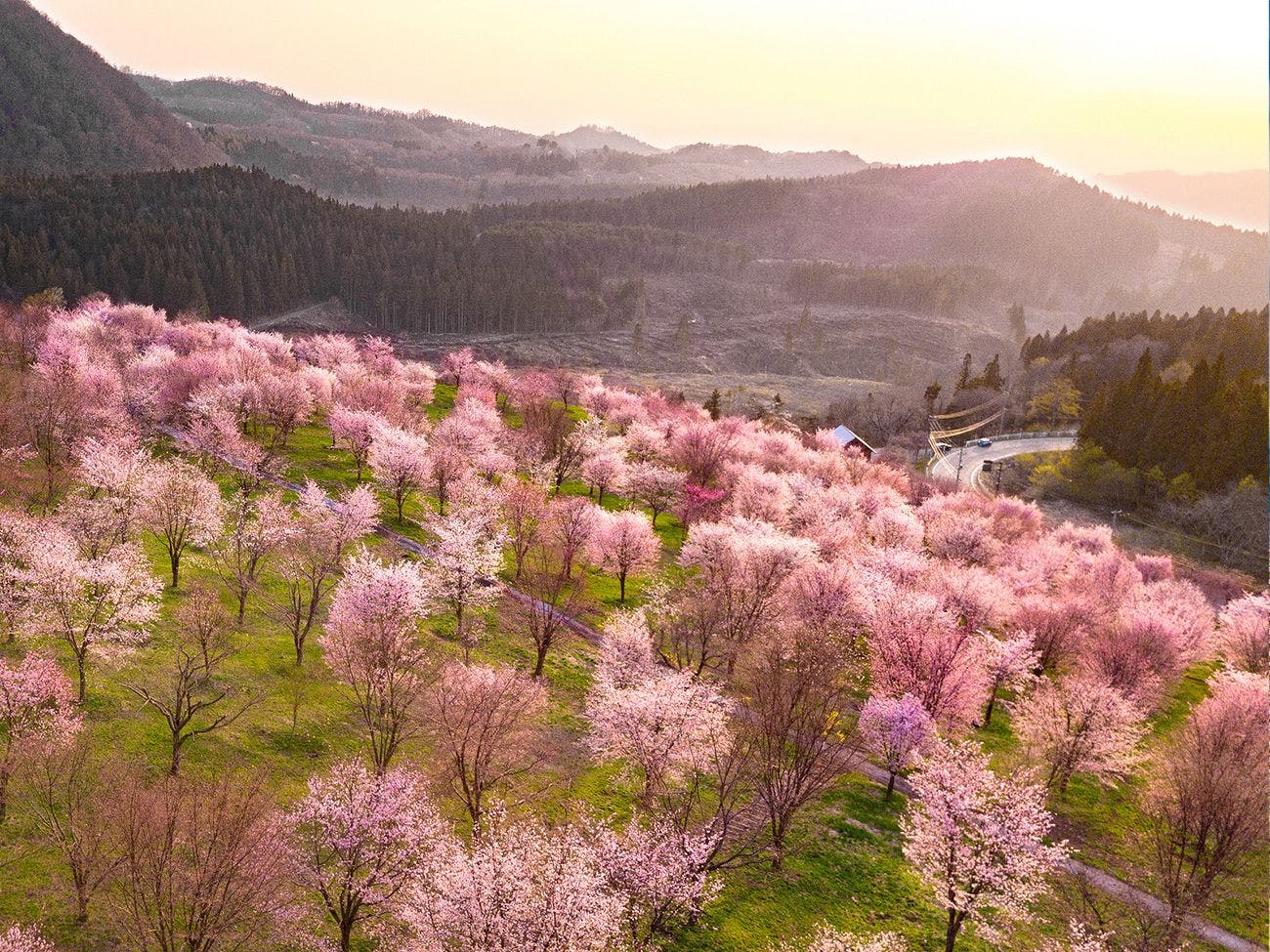 裏磐梯レイクリゾート　本館・五色の森