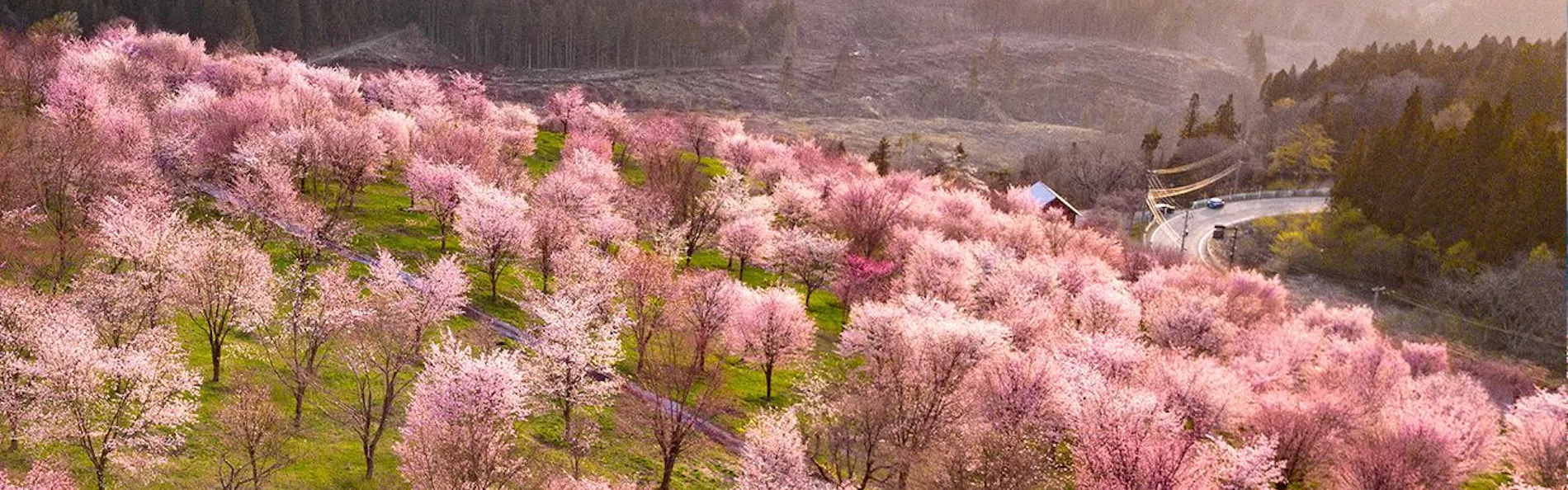 裏磐梯レイクリゾート 本館・五色の森