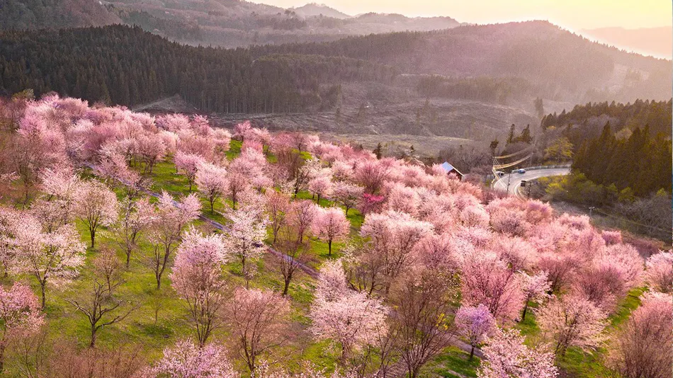 Urabandai Lake Resort - Goshiki no Mori
