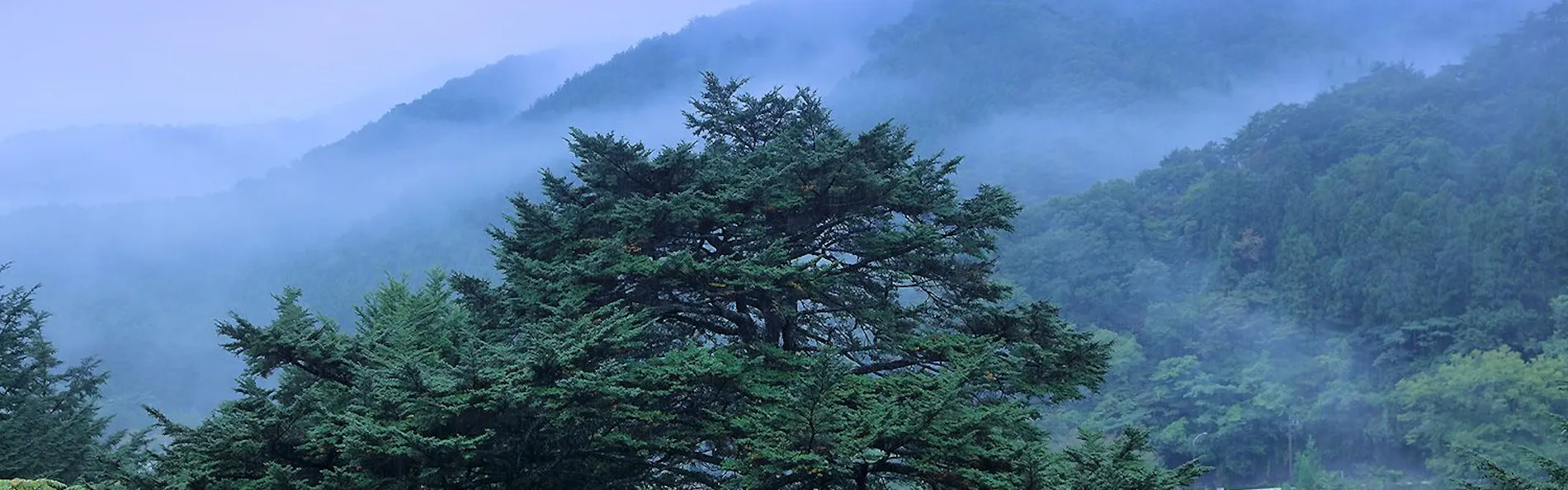 鬼怒川温泉 ホテル栂の季