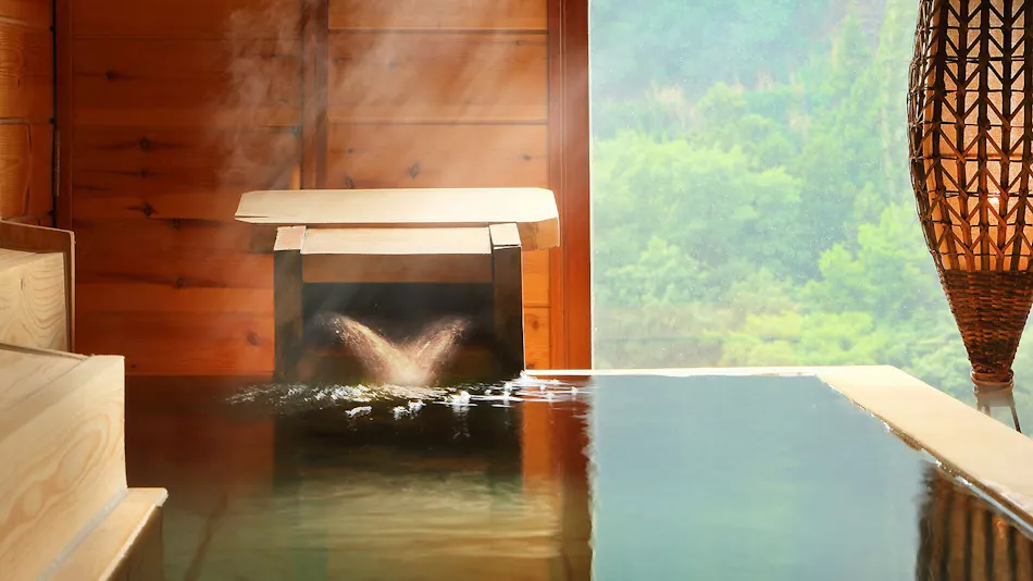 Kinugawa Onsen Hotel Tsugano Ki