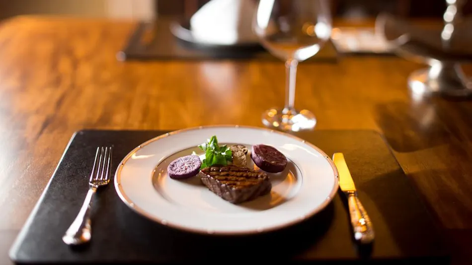 Pet-Friendly Accommodation: Class The Wolf