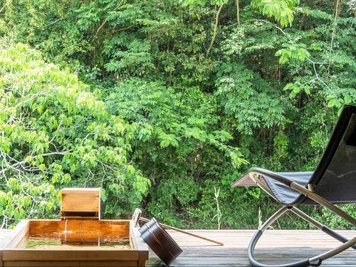 【深山・冬桜】