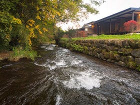 旅籠 彩くら
