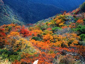 4種の自家源泉 ゆやど 雲仙新湯~異なる泉質の源泉かけ流し~ 1枚目