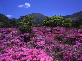 ４種の自家源泉　ゆやど 雲仙新湯～異なる泉質の源泉かけ流し～
