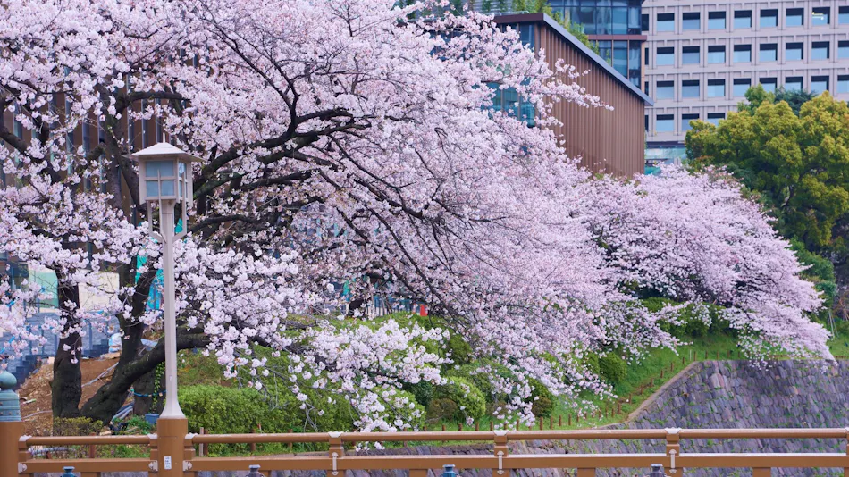 The Prince Gallery Tokyo Kioicho, a Luxury Collection Hotel