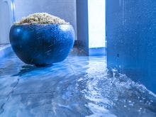 赤ちゃんプラン 京都府のホテル 宿 旅館が安い His旅プロ 国内旅行ホテル最安値予約