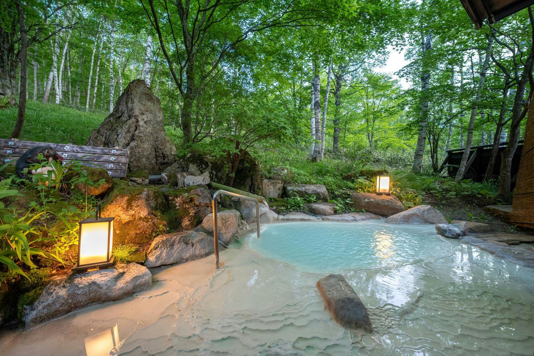 周辺は白樺林で最高のロケーション！