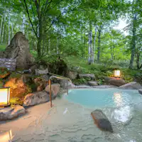 周辺は白樺林で最高のロケーション!