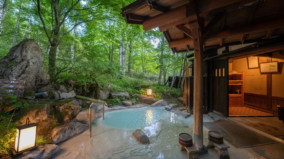 Shirahone Onsen Konashi no Yu Sasaya