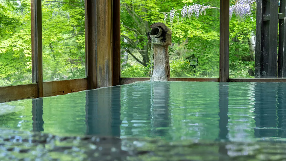Shirahone Onsen Konashi no Yu Sasaya