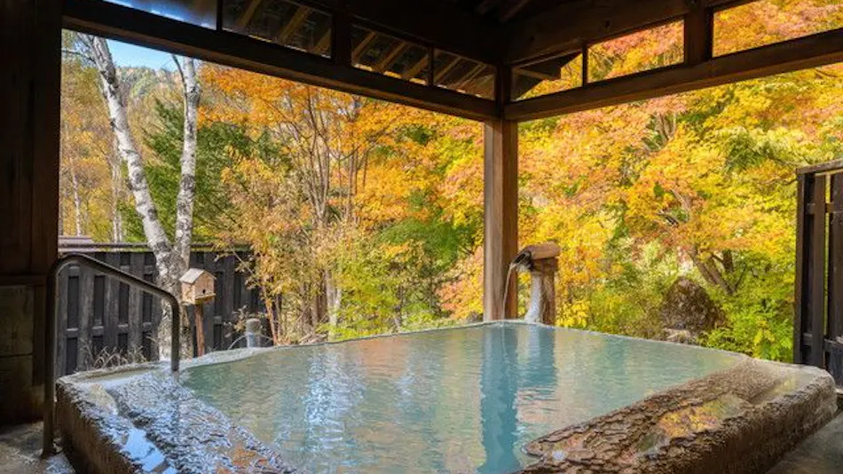 Shirahone Onsen Konashi no Yu Sasaya