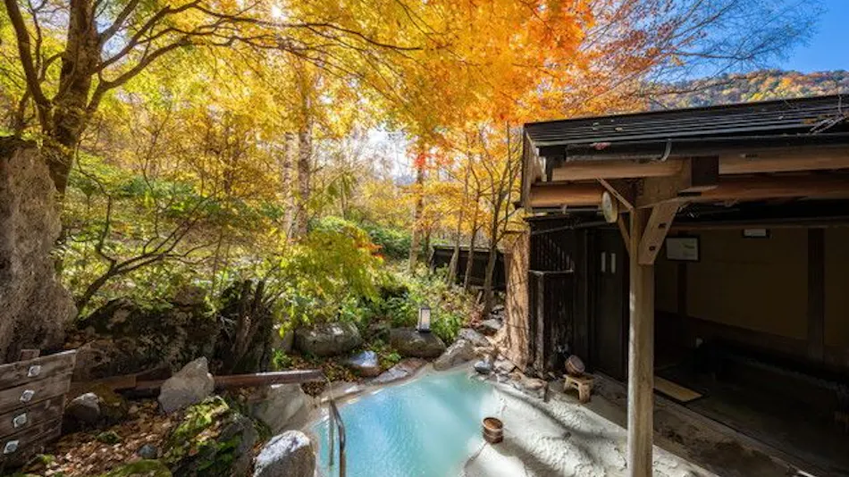 Shirahone Onsen Konashi no Yu Sasaya