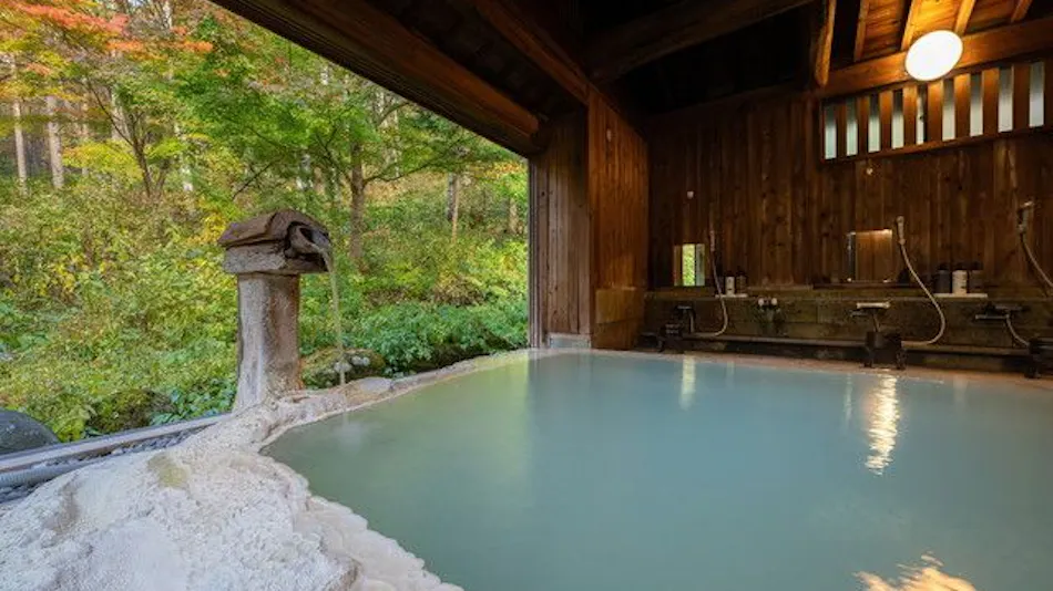 Shirahone Onsen Konashi no Yu Sasaya