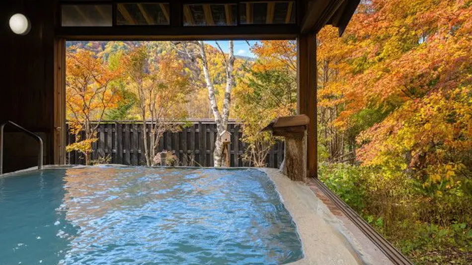 Shirahone Onsen Konashi no Yu Sasaya