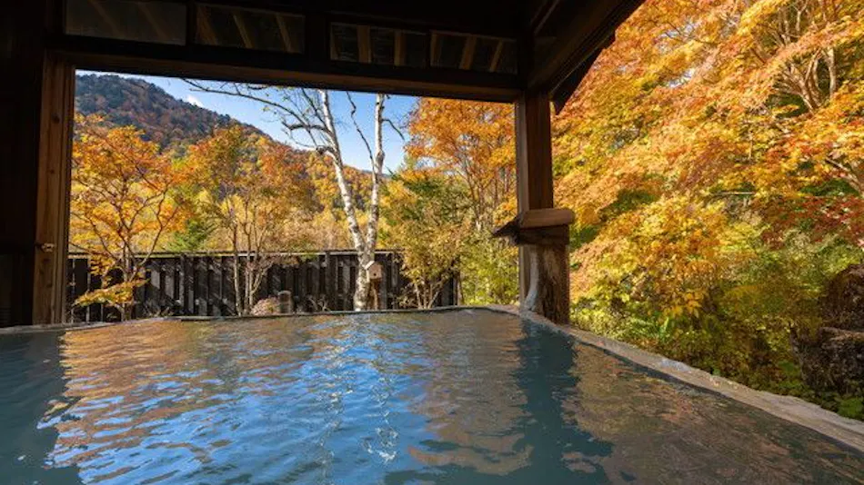 Shirahone Onsen Konashi no Yu Sasaya