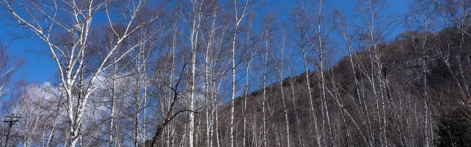 白骨温泉 小梨の湯 笹屋