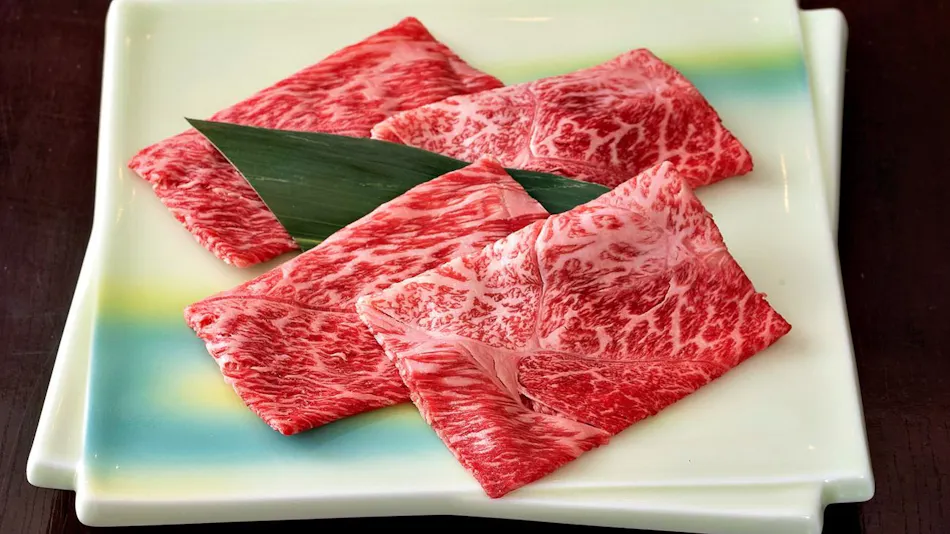 Shirahone Onsen Konashi no Yu Sasaya