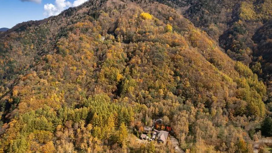 Shirahone Onsen Konashi no Yu Sasaya