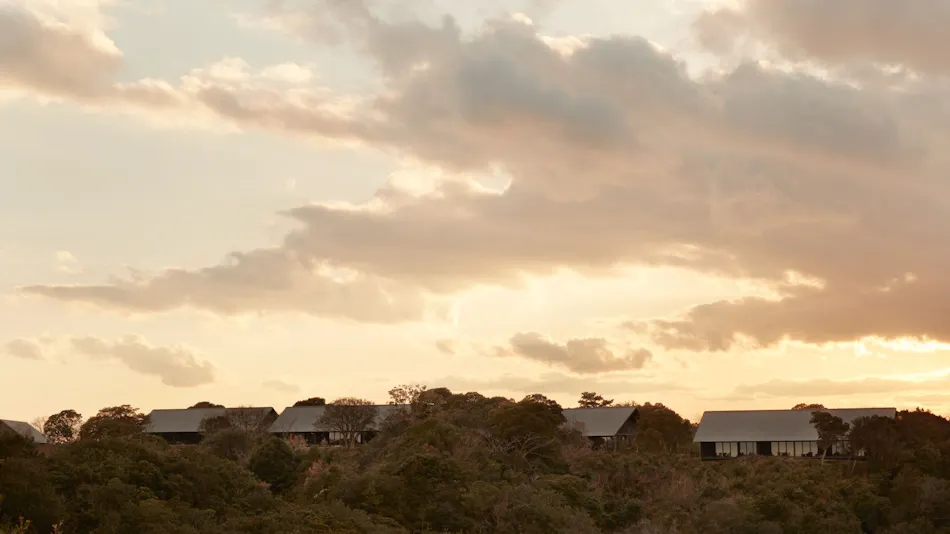 Amanemu