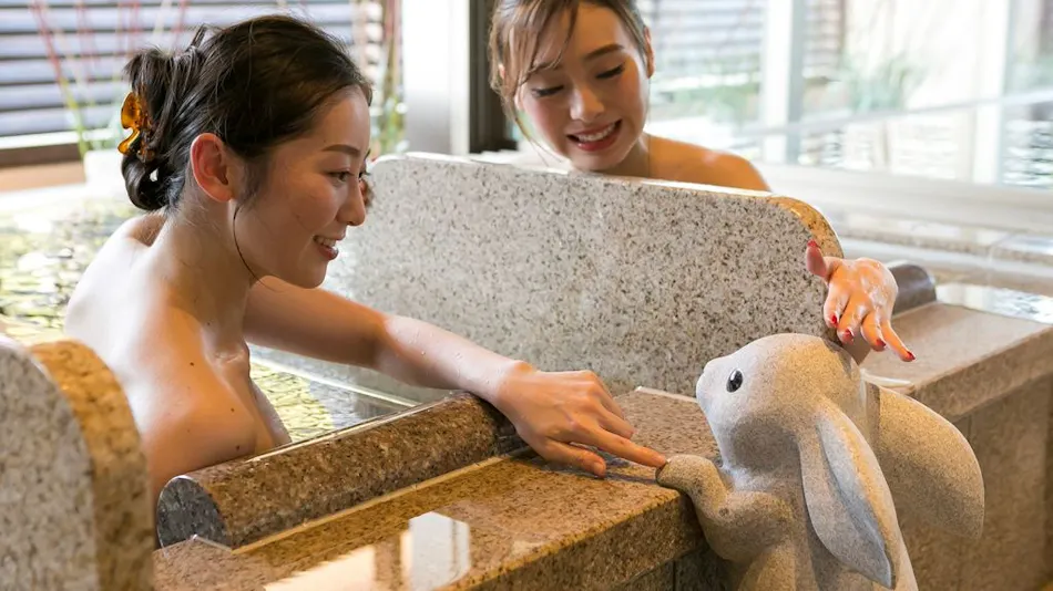 Oyado Tsukiyo no Usagi (Kyoritsu Resort)