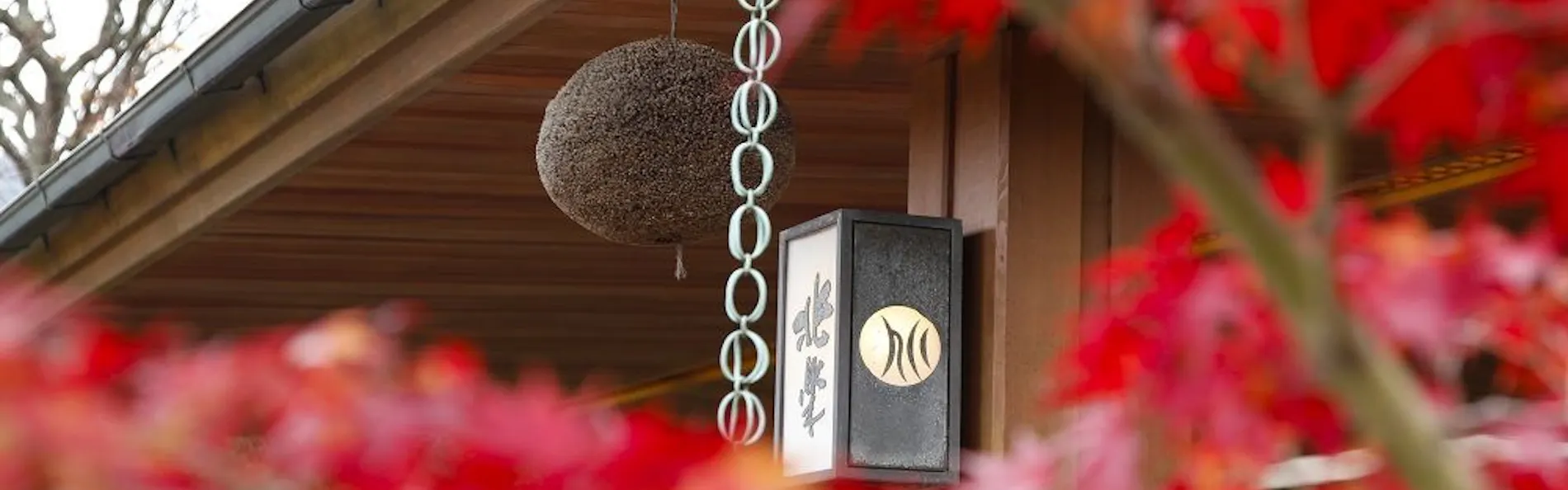SPA TERRACE 紫翠