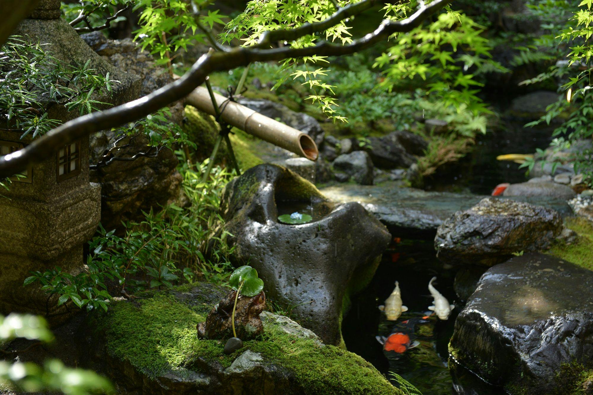 京・富小路　料理旅館天ぷら吉川