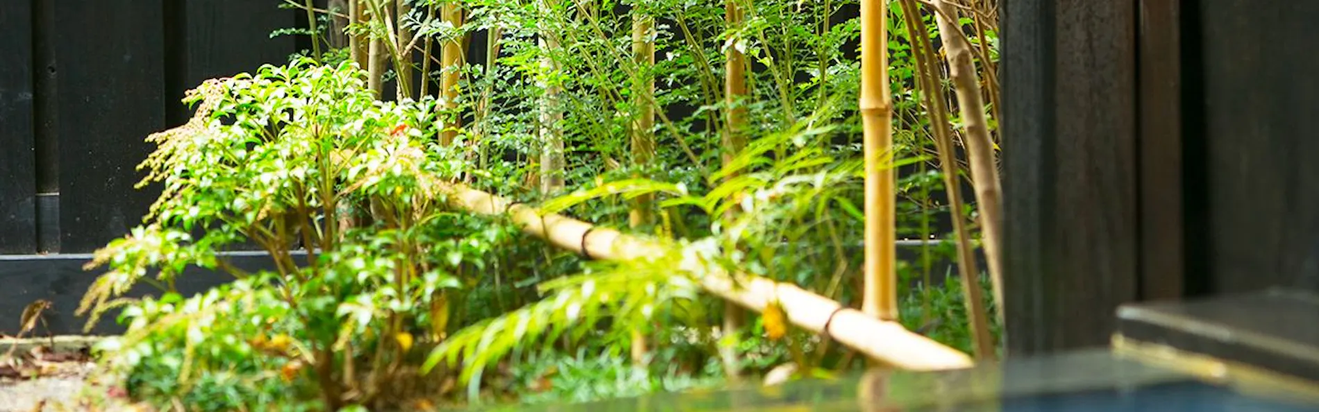 黒川温泉 黒川荘