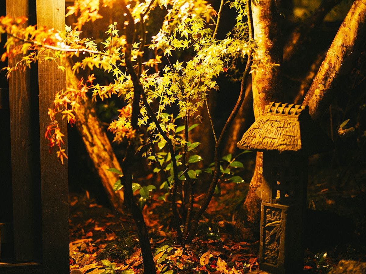 黒川温泉 黒川荘