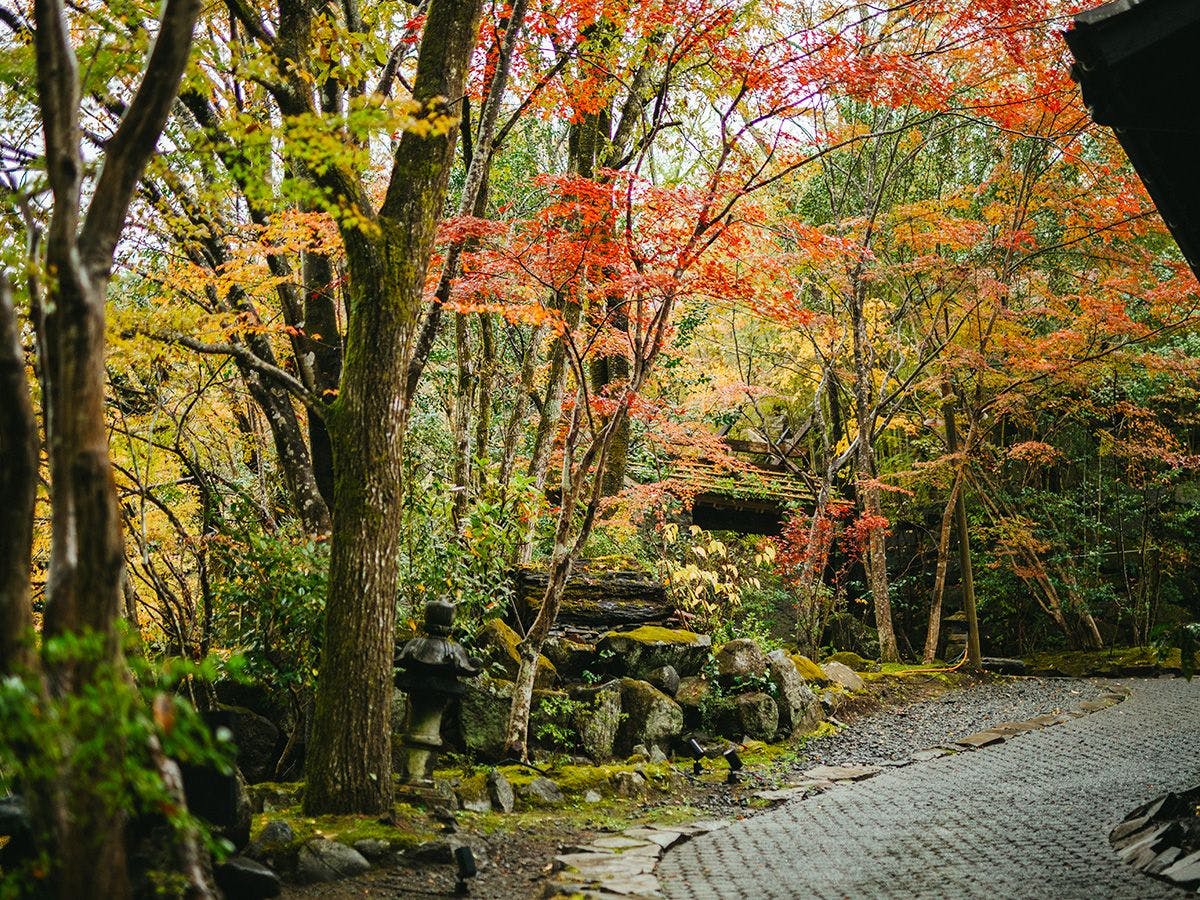 黒川温泉 黒川荘