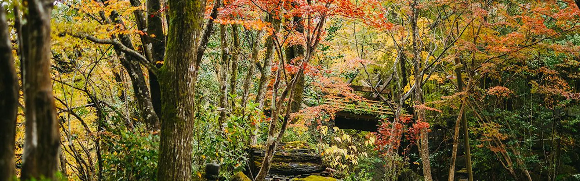 黒川温泉 黒川荘