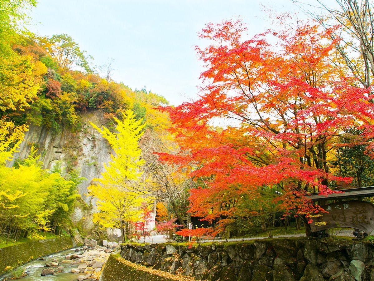黒川温泉 黒川荘