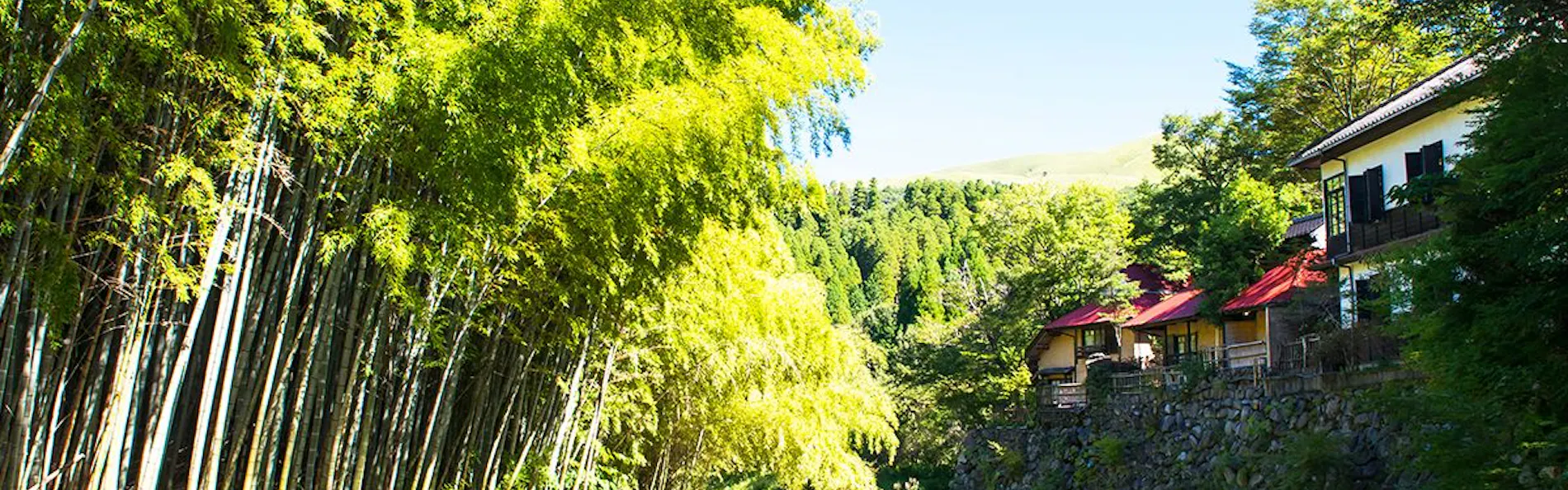 黒川温泉 黒川荘