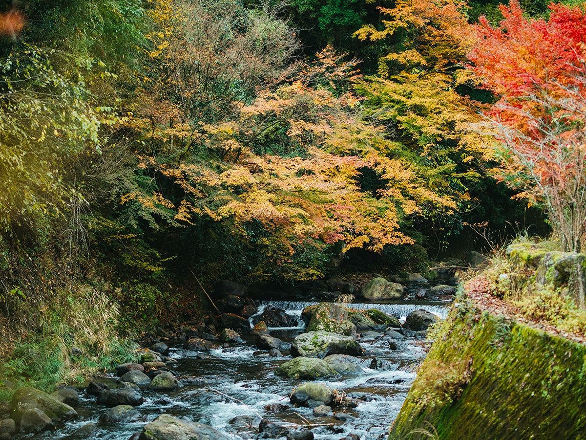 黒川温泉 黒川荘