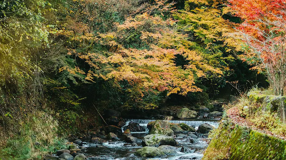 Kurokawa-so