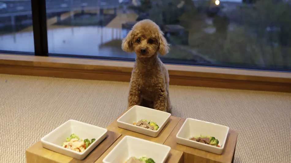 Regina Resort Biwako Nagahama