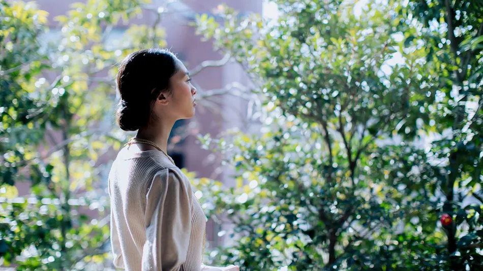 The Thousand Kyoto