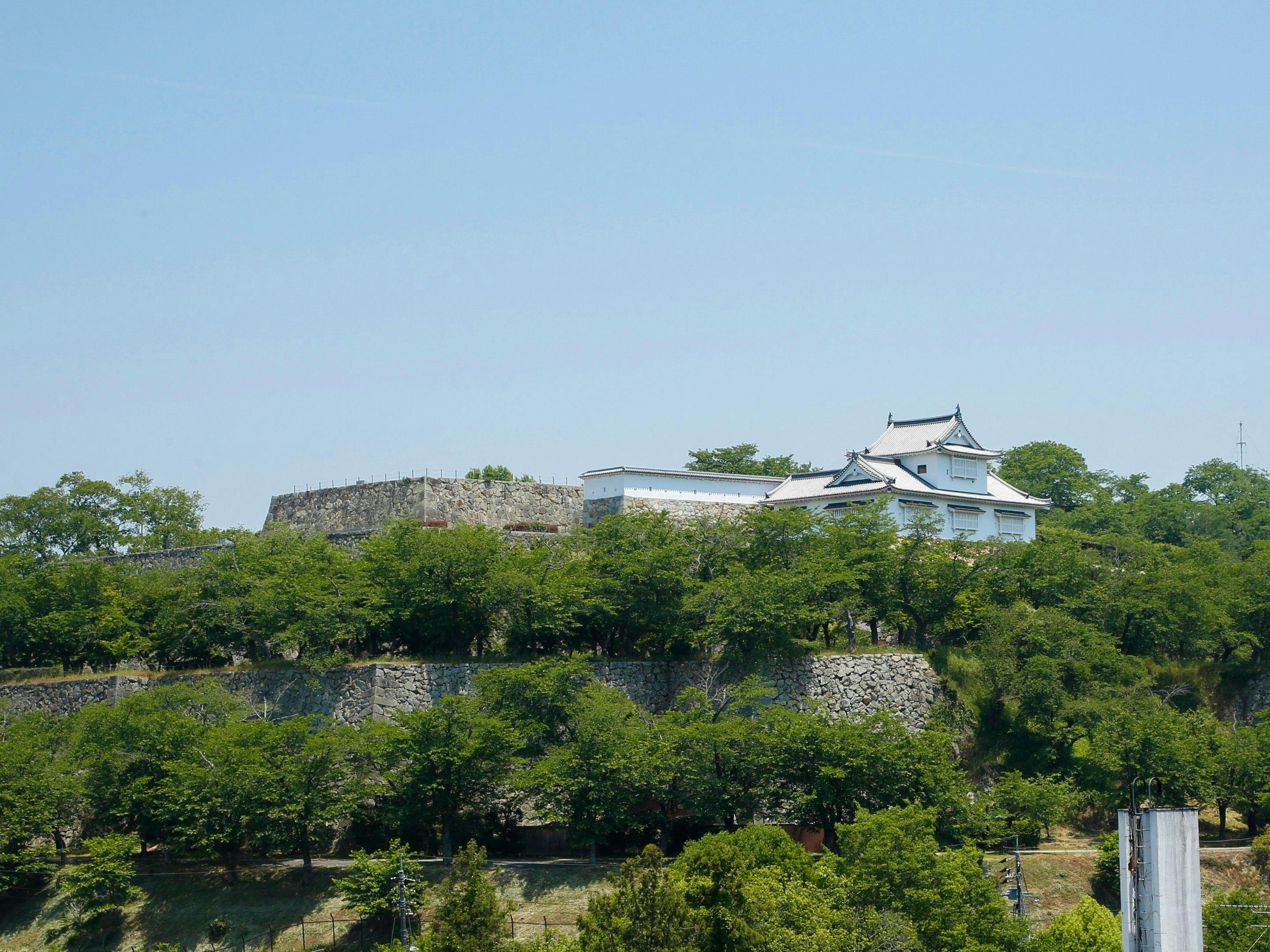 Japan's Top 100 Cherry Blossom Spots - Tsuruyama Park / Tsuyama Castle Ruins