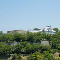Japan's Top 100 Cherry Blossom Spots - Tsuruyama Park / Tsuyama Castle Ruins