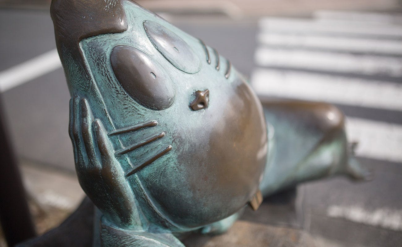 미즈키 시게루 로드까지 차로 31분.