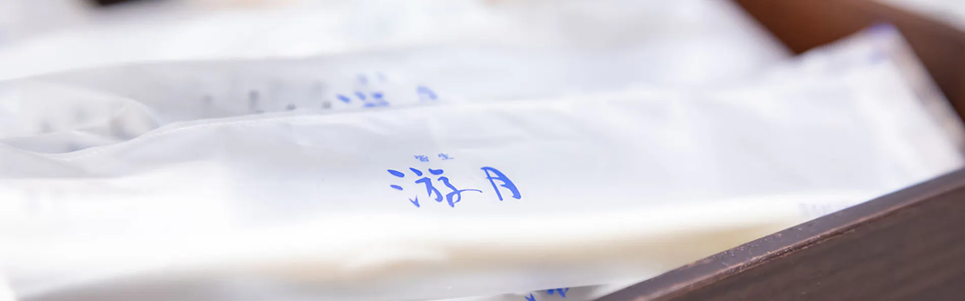 皆生游月