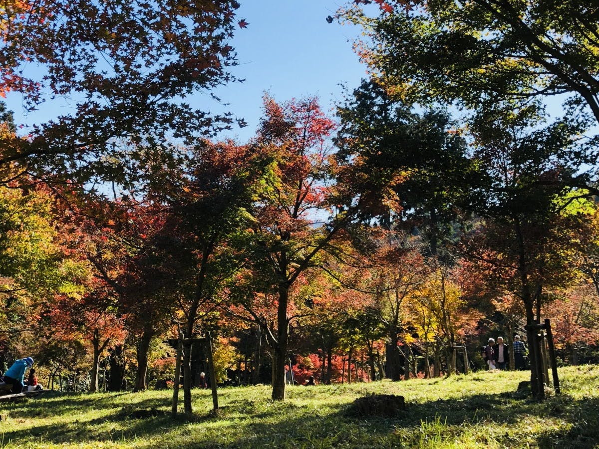 หมู่บ้านโมมิจิ